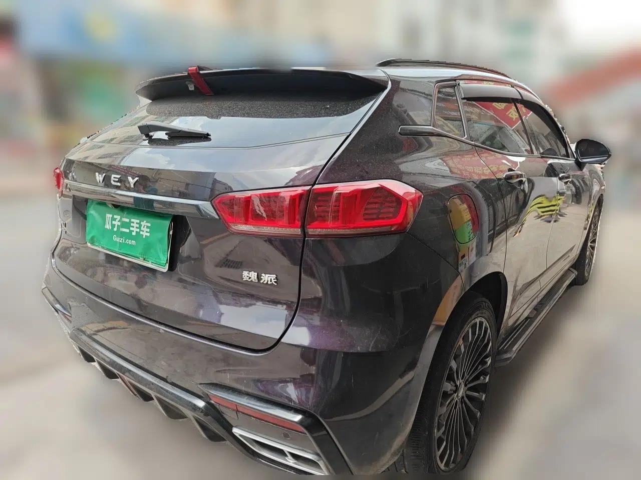 Wey VV7 New Energy 2020 PHEV 2.0T Flagship Model — миниатюра 6