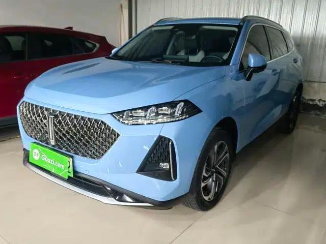 Wey Macchiato DHT-PHEV 2021 1.5L Master Edition