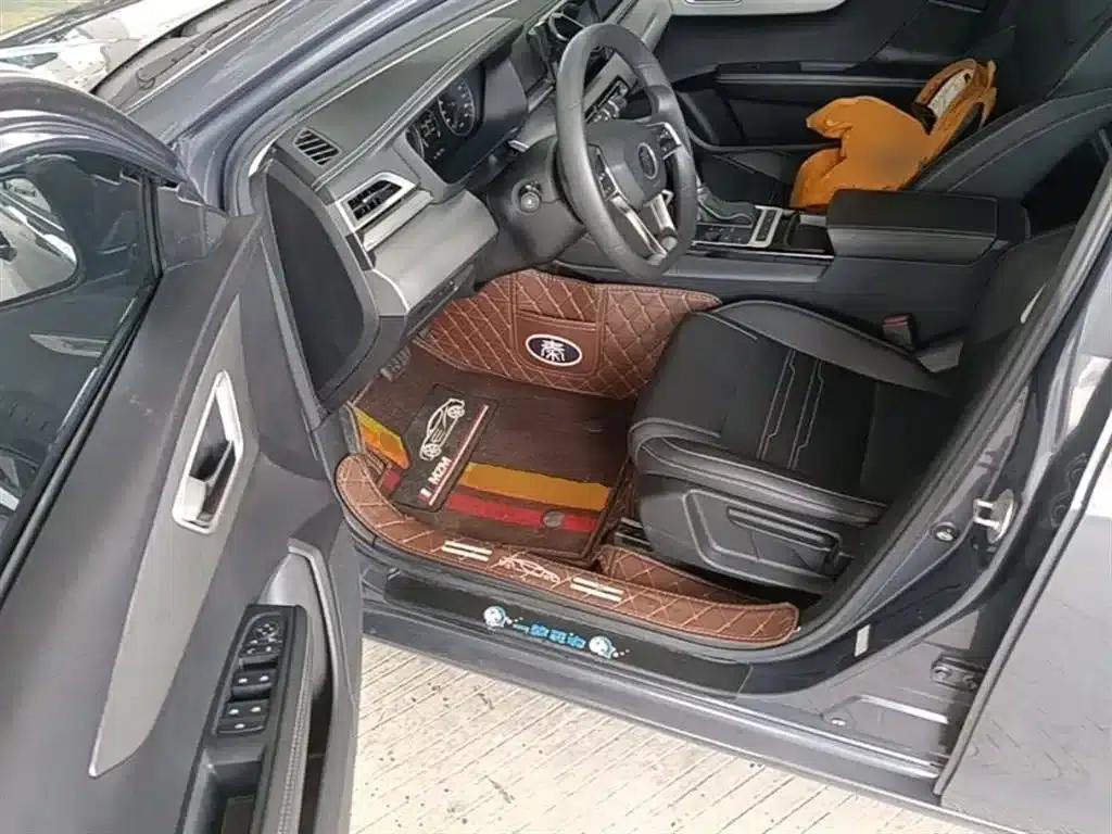 Qin 2019 1.5L Automatic Deluxe Edition — миниатюра 16