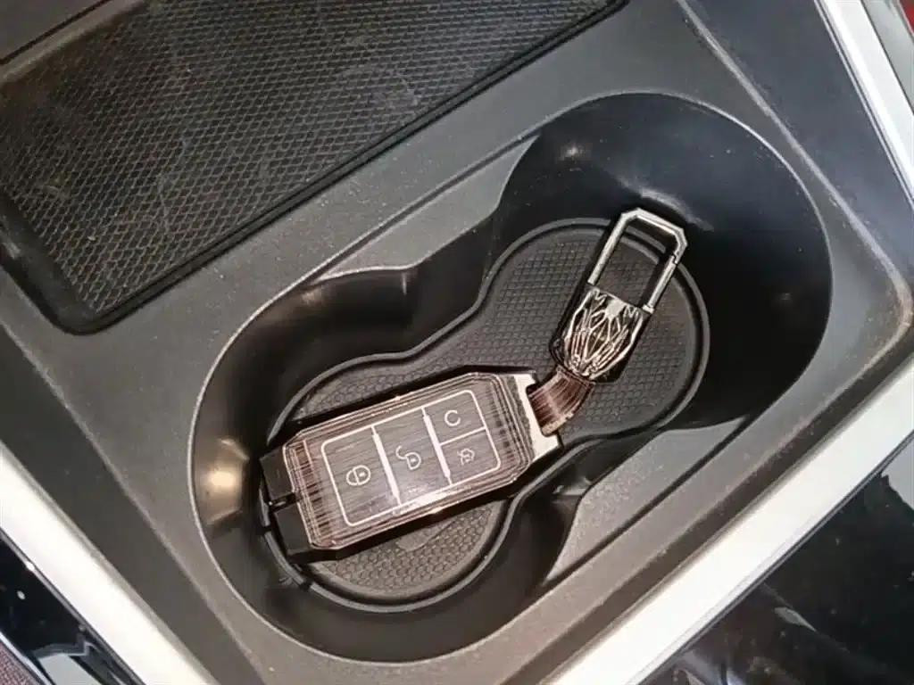 Qin 2019 1.5L Automatic Deluxe Edition — миниатюра 9