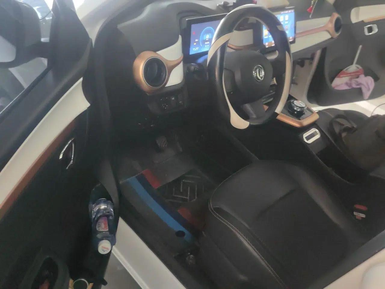 Dongfeng NAMMI EX1 — миниатюра 16