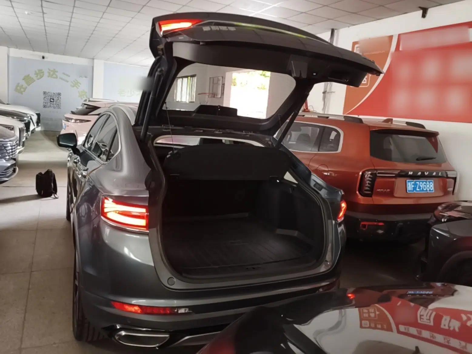 Geely Auto Monjaro S 2021 2.0TD DCT Two-Wheel Drive Lightning Edition — миниатюра 22