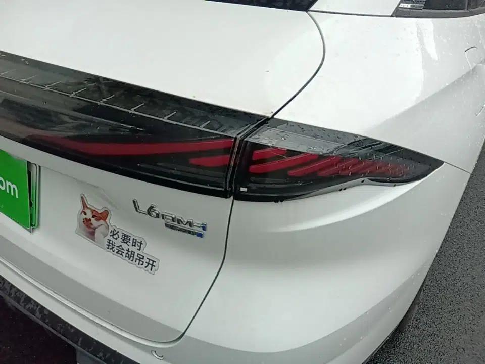 Geely Galaxy L6 2024 125km PLUS Dragon Edition — миниатюра 9