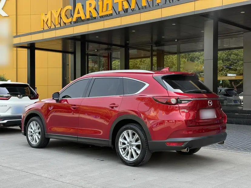 Mazda CX-8 2019 2.5L Four-Wheel Drive Deluxe Edition — миниатюра 12