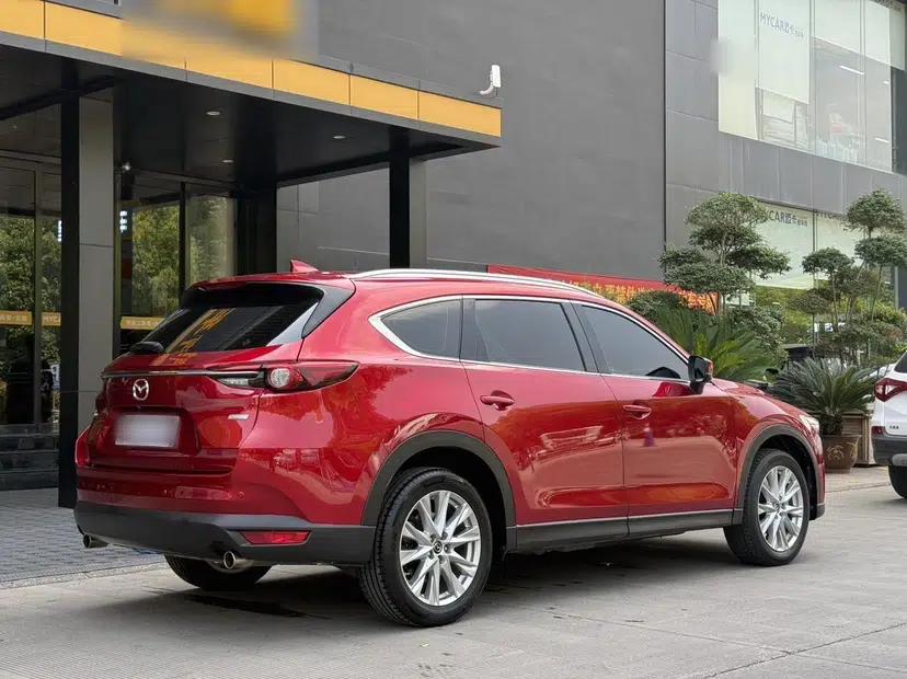 Mazda CX-8 2019 2.5L Four-Wheel Drive Deluxe Edition — миниатюра 13