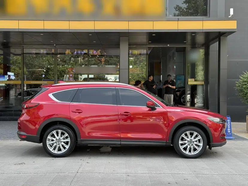 Mazda CX-8 2019 2.5L Four-Wheel Drive Deluxe Edition — миниатюра 14