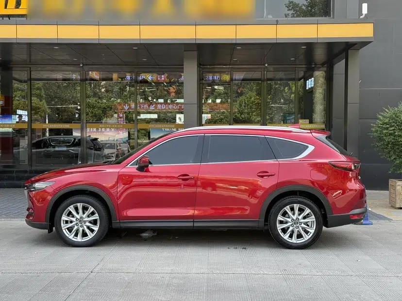 Mazda CX-8 2019 2.5L Four-Wheel Drive Deluxe Edition — миниатюра 17