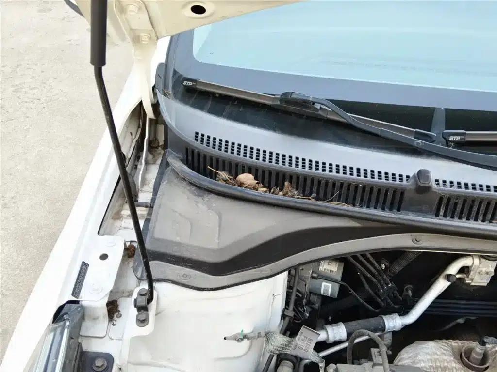 2016 Hyundai Verna 1.4L Automatic GLS (Cool Edition) — миниатюра 21