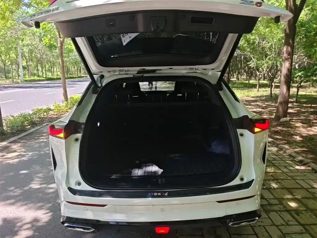 Changan Oushang Z6 New Energy 2023 Model, Smart Electric iDD 150KM Flagship PLUS — миниатюра 19