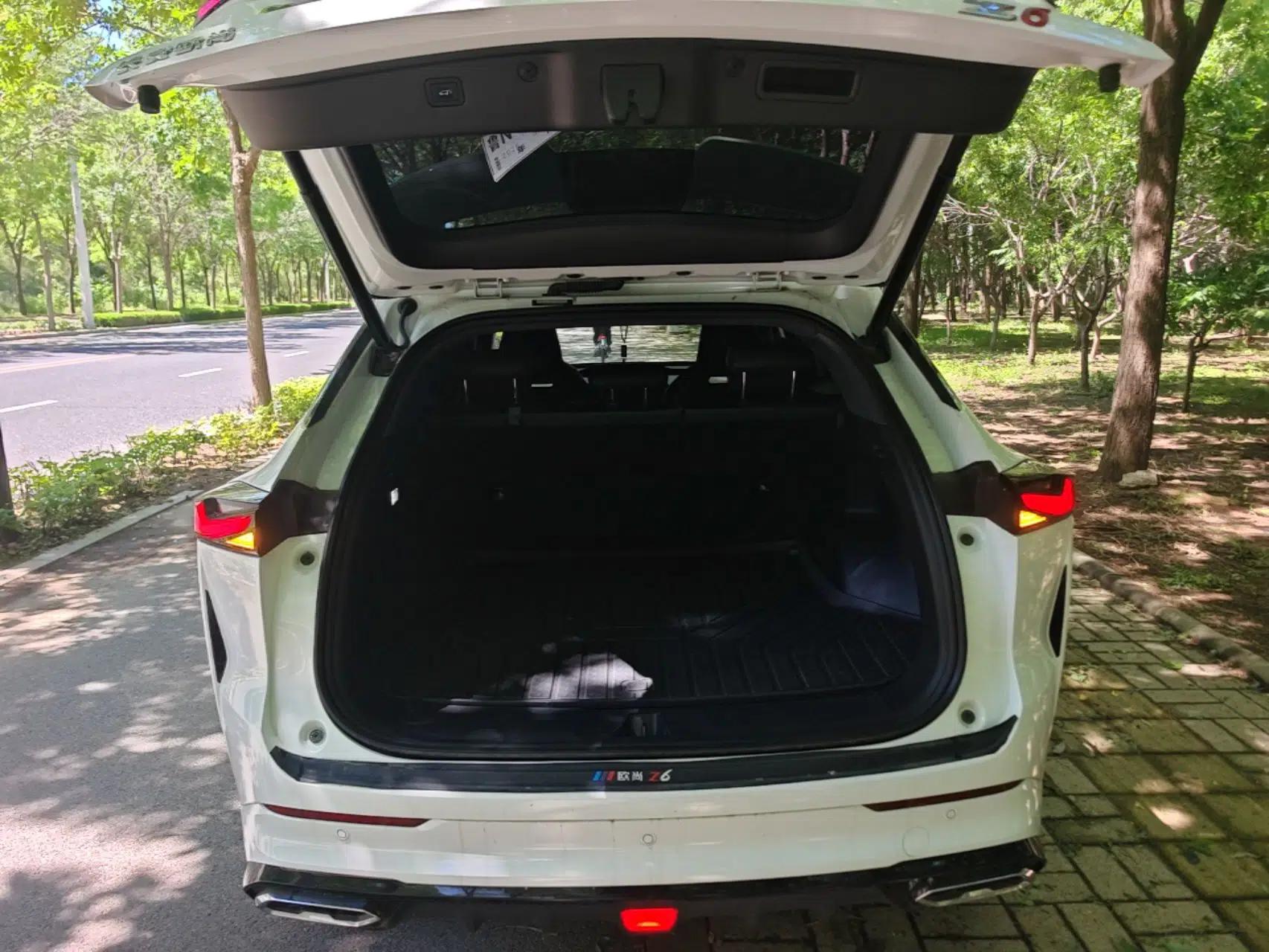 CHANGAN OSHAN Z6 New Energy 2023 ZhiDian iDD 150KM Flagship PLUS — миниатюра 27