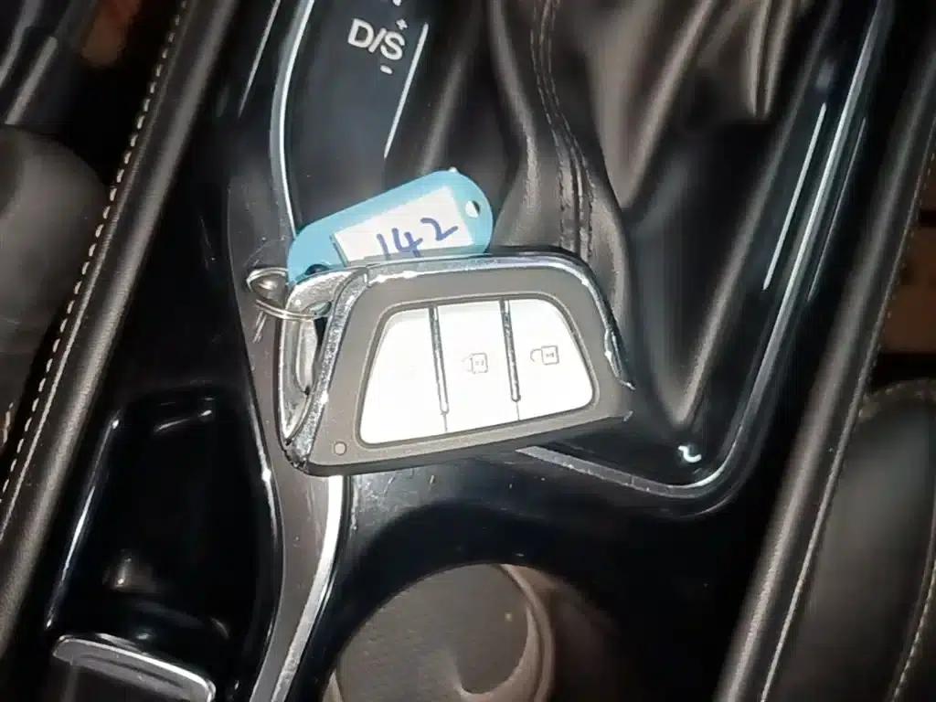 Jiayue X4 2020 1.5T CVT Premium Edition — миниатюра 9