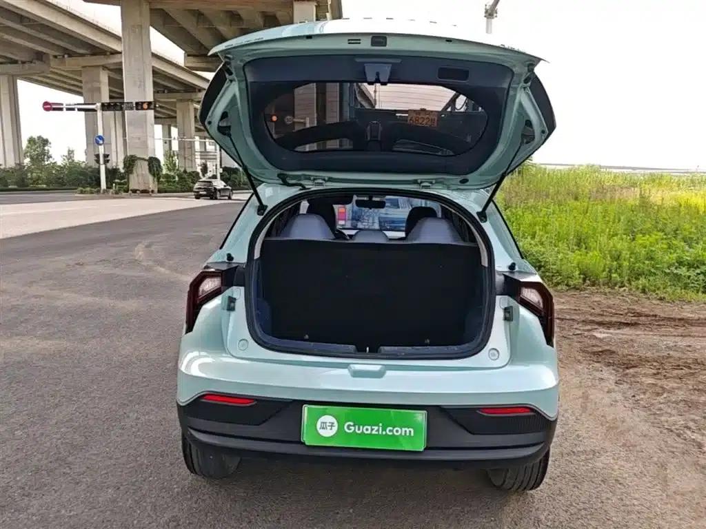 Geely Geometry E Firefly 2023 Model 320KM Cute Tiger 5-Seater — миниатюра 19