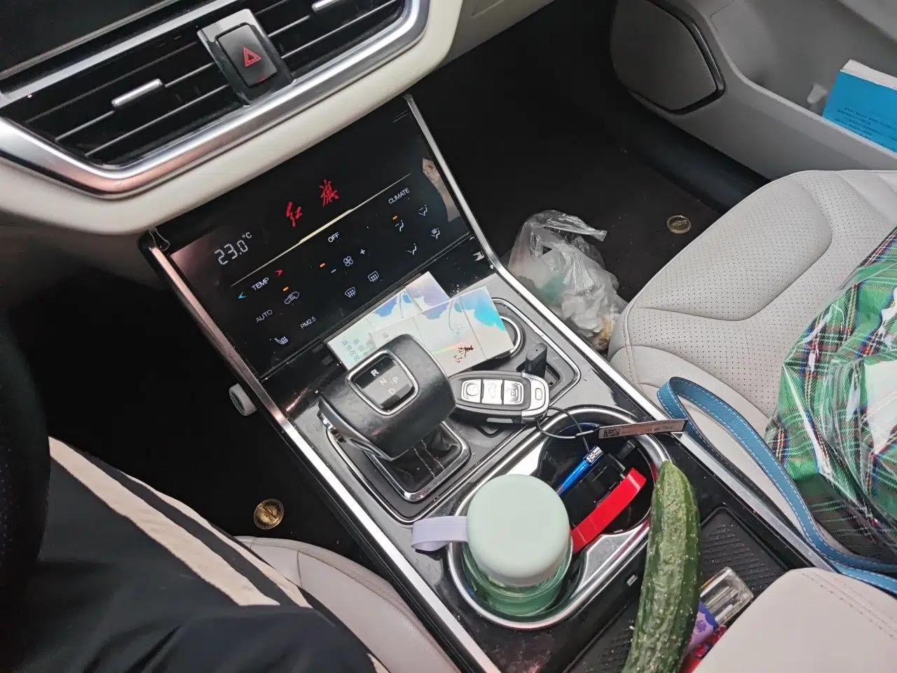 Hongqi E-HS3 2019 Zhilian Qiyue Two-Wheel Drive Version — миниатюра 14