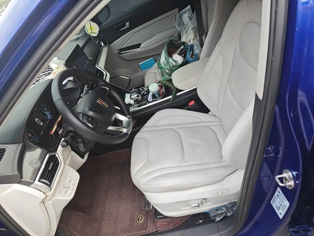 Hongqi E-HS3 2019 Zhilian Qiyue Two-Wheel Drive Version — миниатюра 15