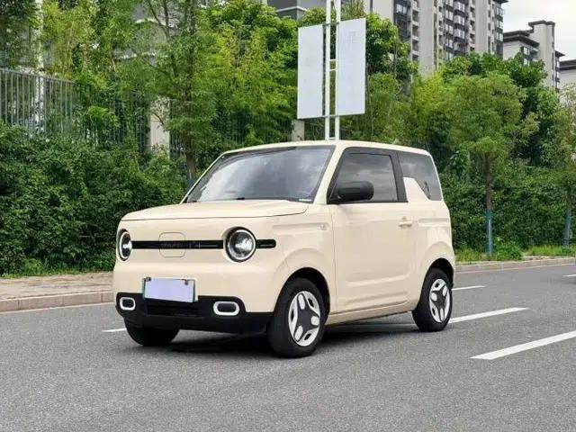Geely Galaxy Panda 2025 210 km – Yuanqi Bear