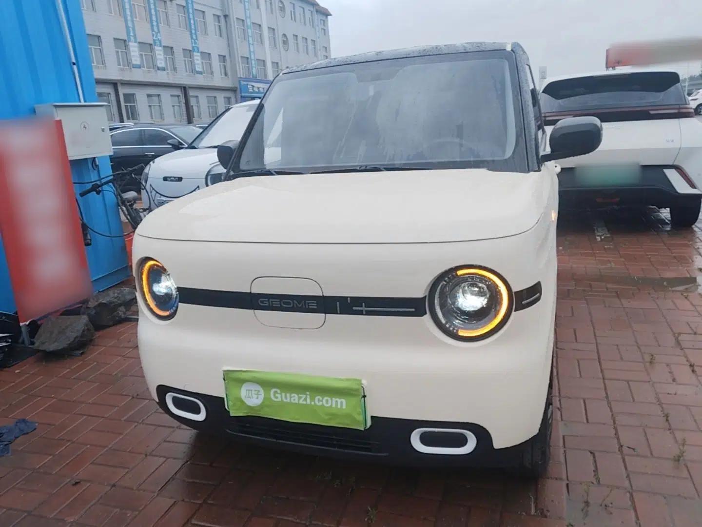 Geely Galaxy Panda 2025 210 km – Yuanqi Bear — миниатюра 2