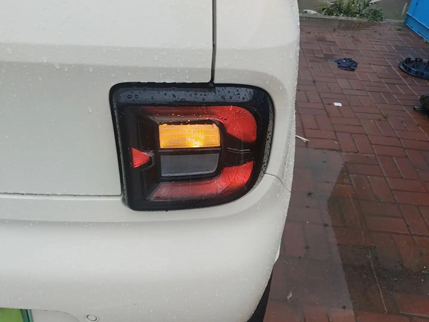 Geely Galaxy Panda 2025 210 km – Yuanqi Bear — миниатюра 9