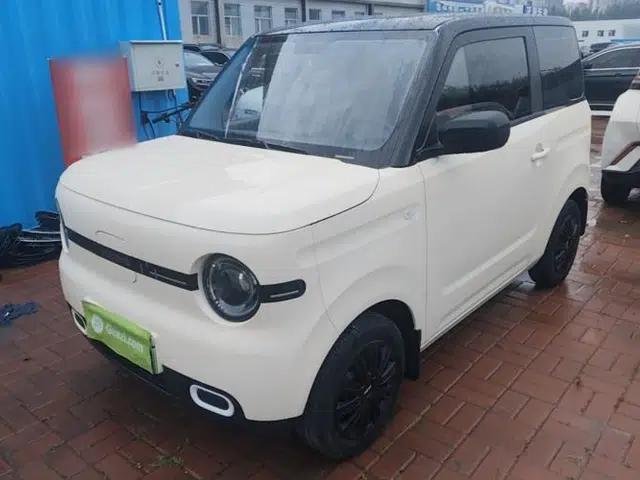Geely Galaxy Panda 2025 210 km – Yuanqi Bear