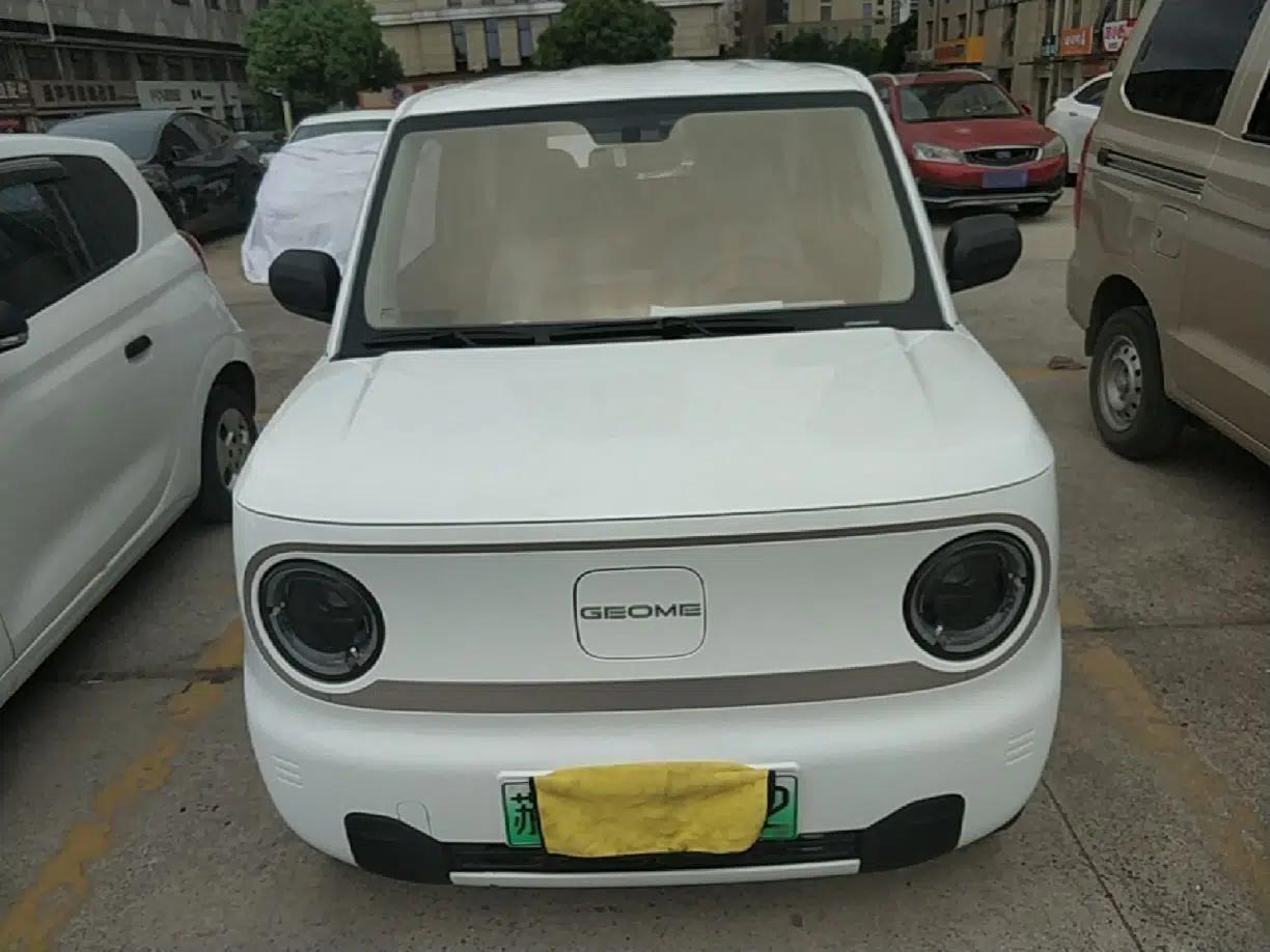Geely Galaxy Panda 2023 Panda Mini 200km Endurance Bear — миниатюра 2