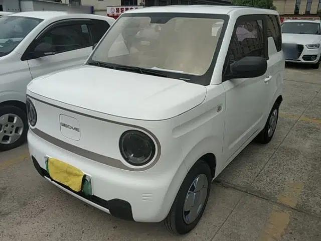 Geely Galaxy Panda 2023 Panda Mini 200km Endurance Bear