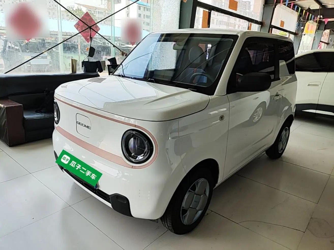 Geely Galaxy Panda 2024 Panda Mini 200km Endurance Bear — миниатюра 1