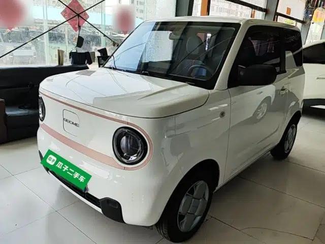 Geely Galaxy Panda 2024 Panda Mini 200km Endurance Bear