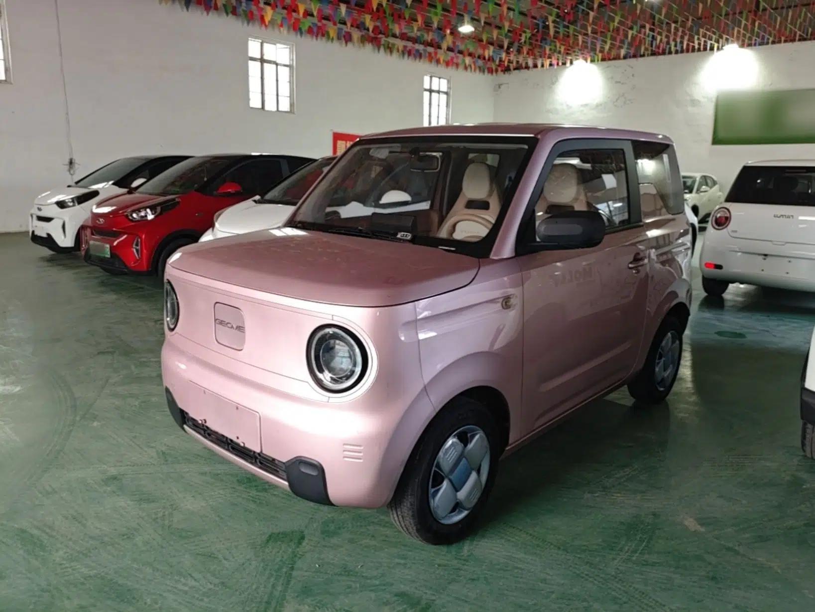 Geely Galaxy Panda 2023 Panda Mini 200km Endurance Bear — миниатюра 1