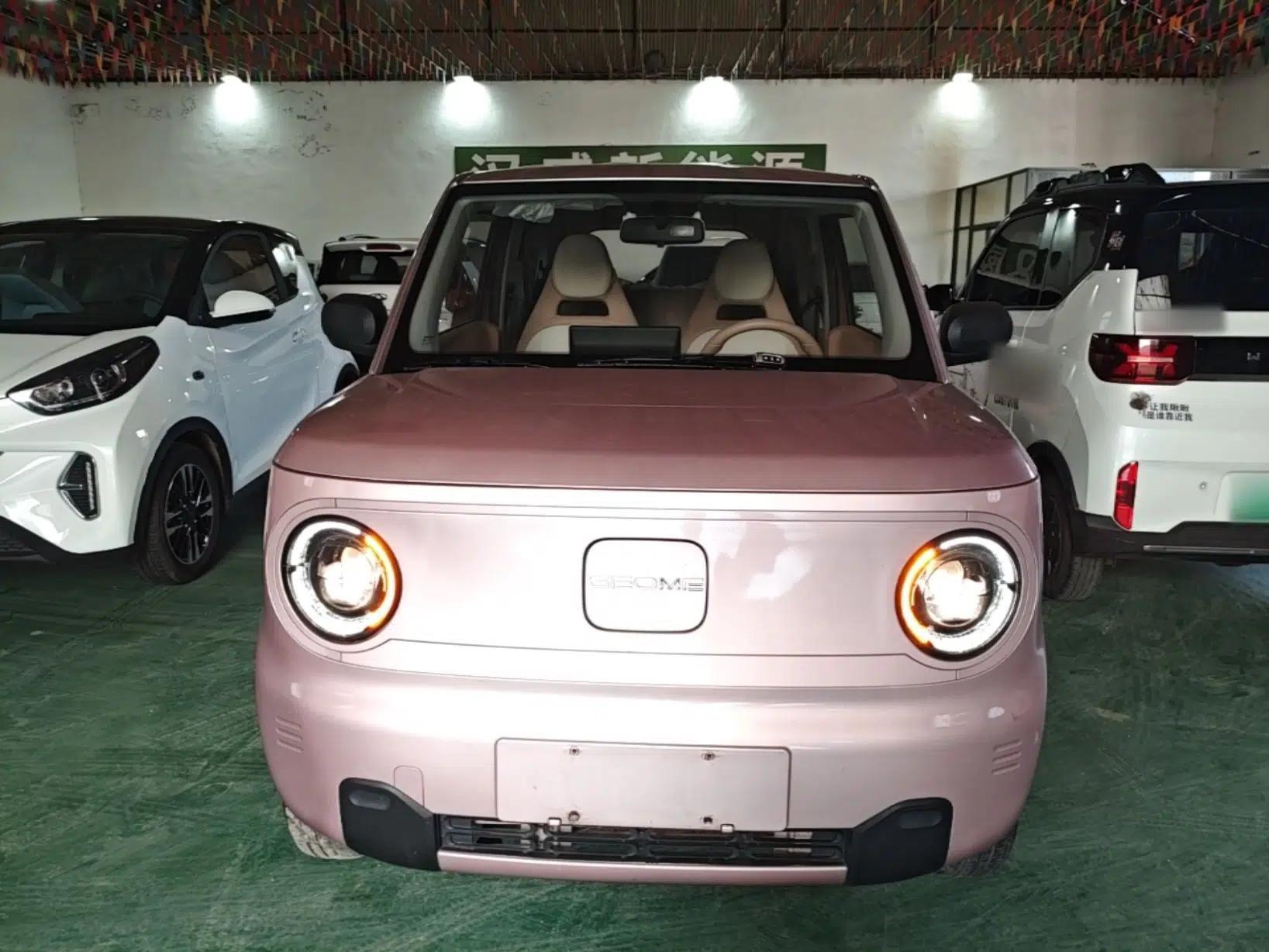 Geely Galaxy Panda 2023 Panda Mini 200km Endurance Bear — миниатюра 2