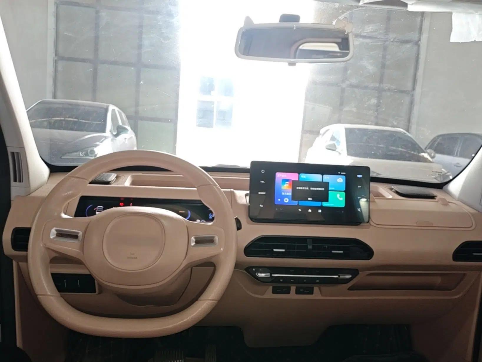 Geely Galaxy Panda 2023 Panda Mini 200km Endurance Bear — миниатюра 12