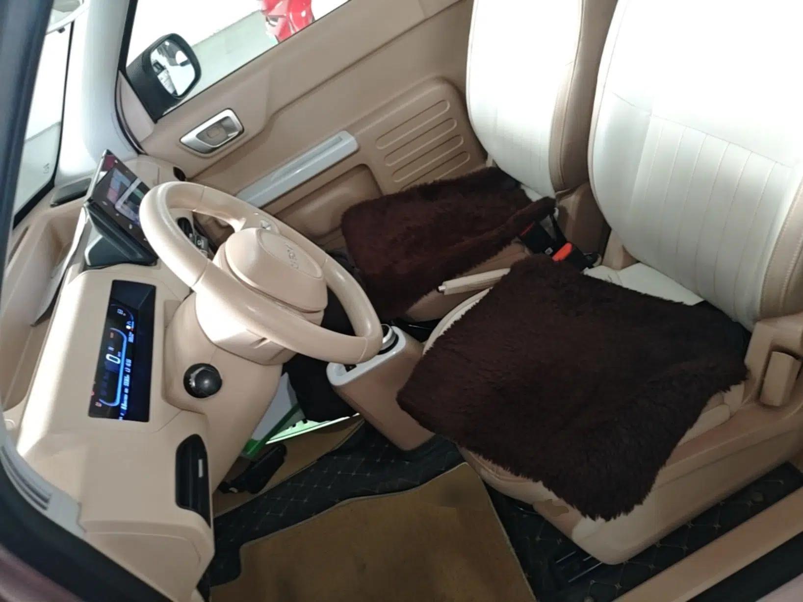 Geely Galaxy Panda 2023 Panda Mini 200km Endurance Bear — миниатюра 17