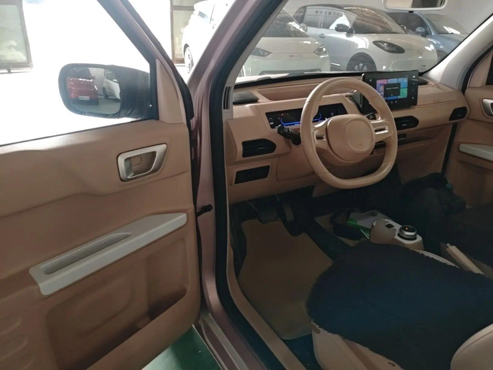Geely Galaxy Panda 2023 Panda Mini 200km Endurance Bear — миниатюра 18