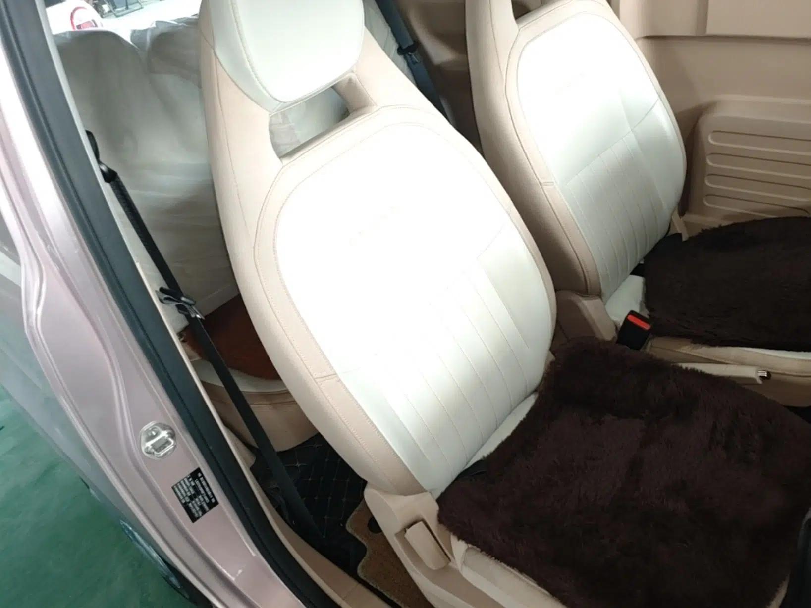 Geely Galaxy Panda 2023 Panda Mini 200km Endurance Bear — миниатюра 19