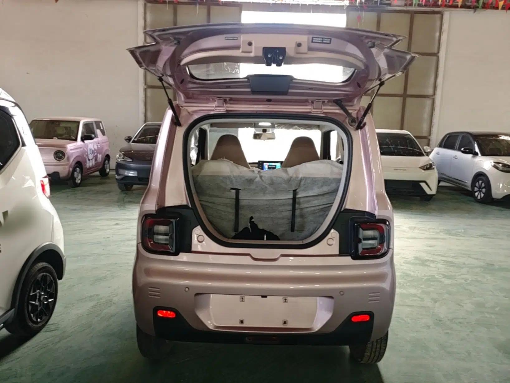 Geely Galaxy Panda 2023 Panda Mini 200km Endurance Bear — миниатюра 22