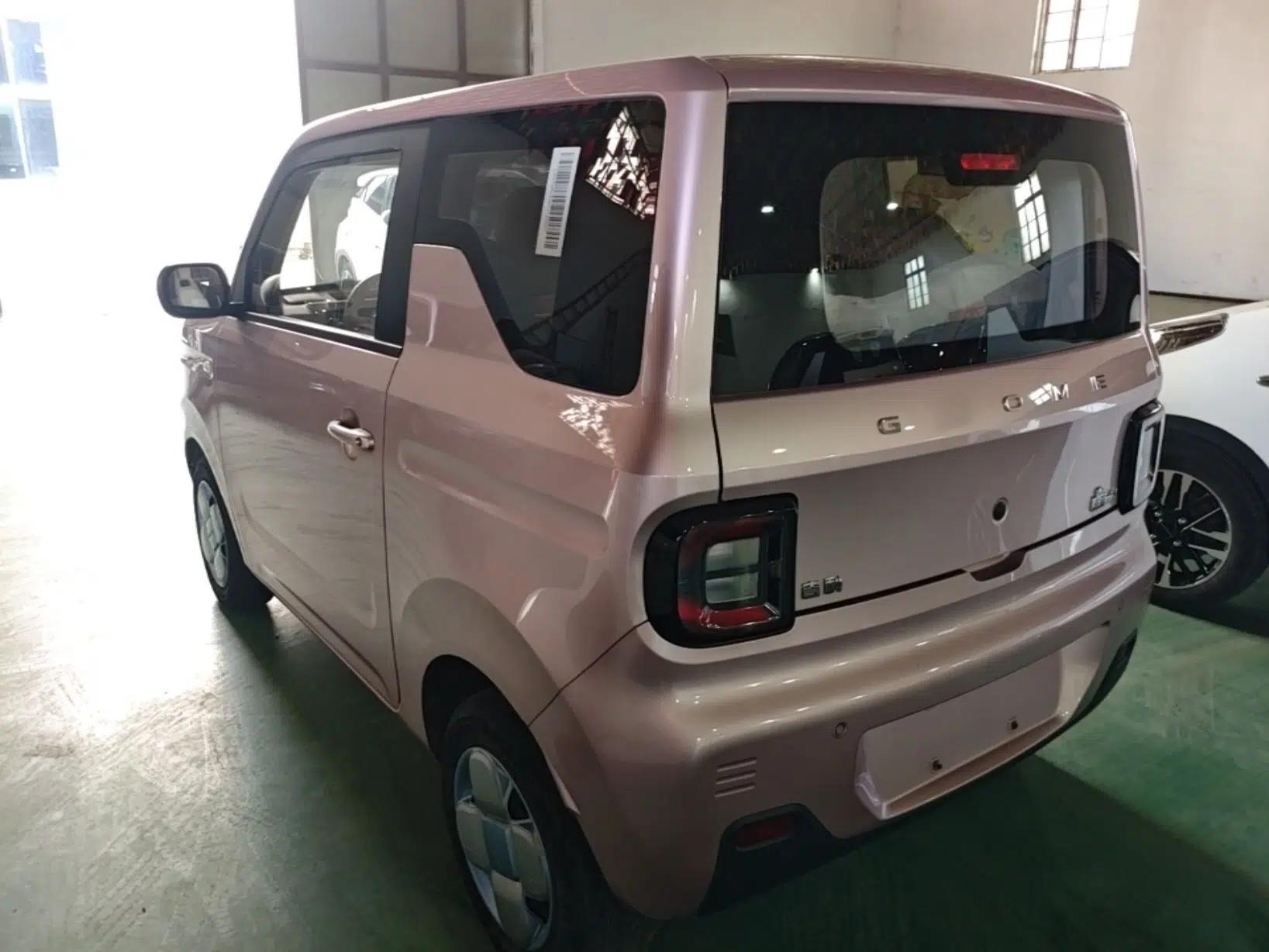 Geely Galaxy Panda 2023 Panda Mini 200km Endurance Bear — миниатюра 4