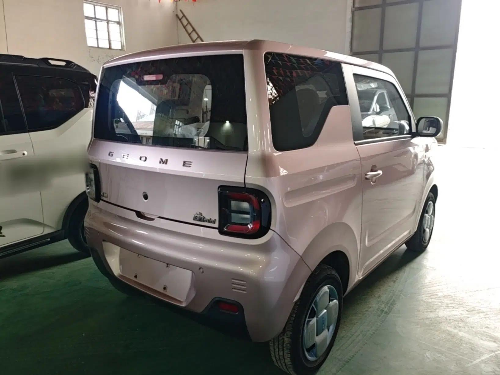 Geely Galaxy Panda 2023 Panda Mini 200km Endurance Bear — миниатюра 6