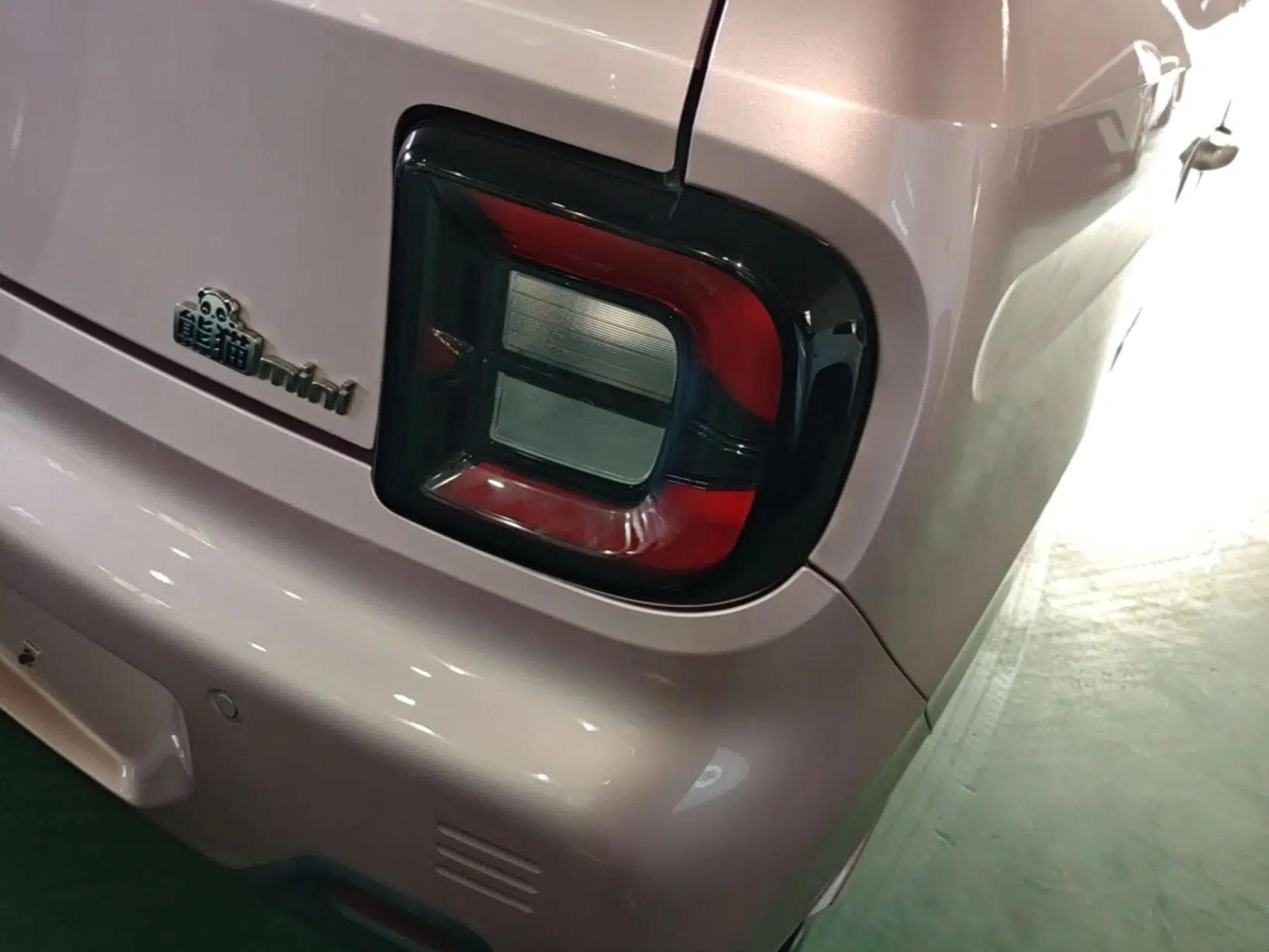 Geely Galaxy Panda 2023 Panda Mini 200km Endurance Bear — миниатюра 9