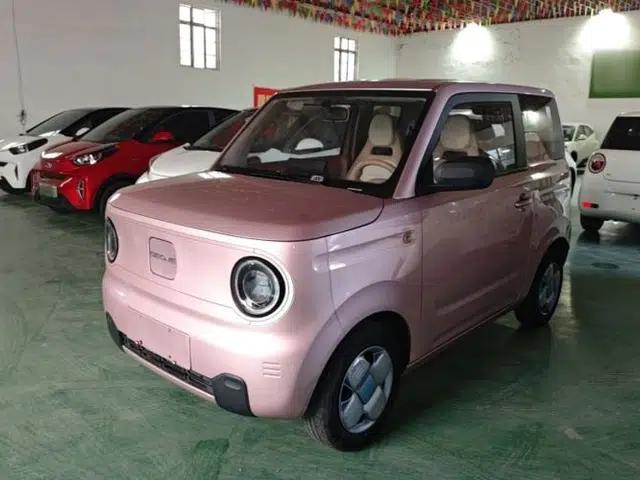 Geely Galaxy Panda 2023 Panda Mini 200km Endurance Bear