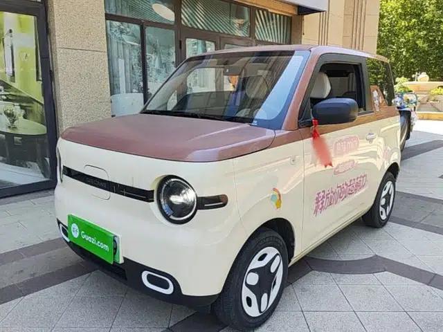 Geely Galaxy Panda 2025 210 km – Yuanqi Bear