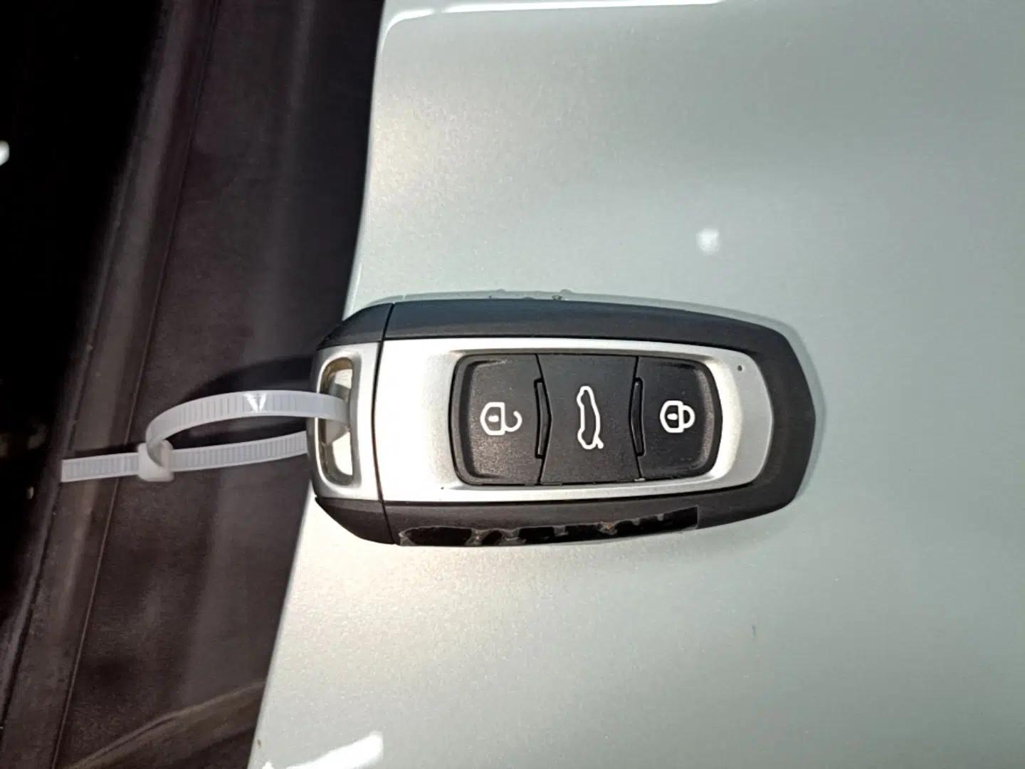 Geely Galaxy Panda 2023 Panda Mini 200km Dynamic Bear — миниатюра 28