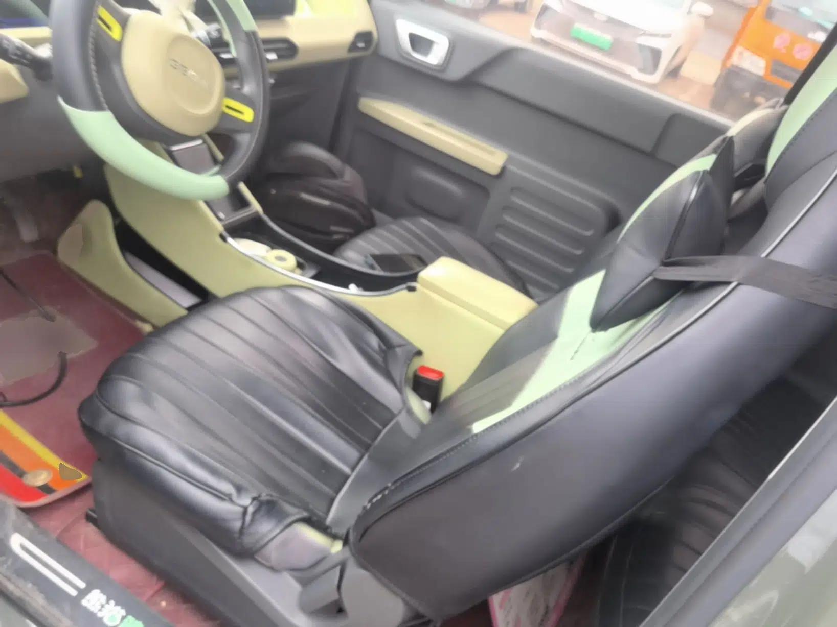 Geely Galaxy Panda 2024 200km Panda Rider — миниатюра 17