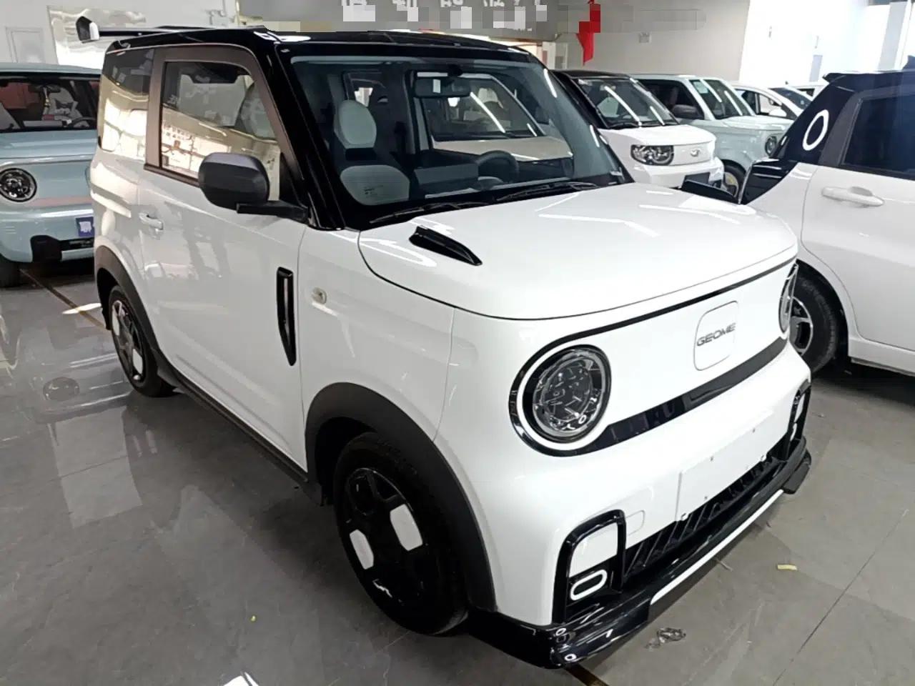 Geely Galaxy Panda 2024 200km Panda Kart — миниатюра 12