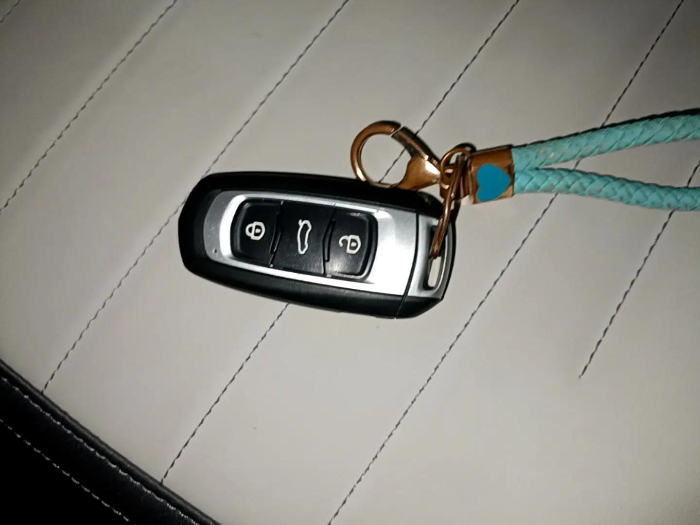 Geely Galaxy Panda 2024 200km Panda Kart — миниатюра 28