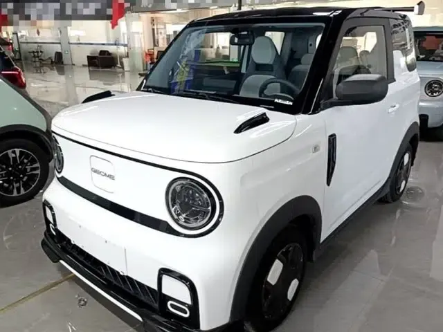 Geely Galaxy Panda 2024 200km Panda Kart