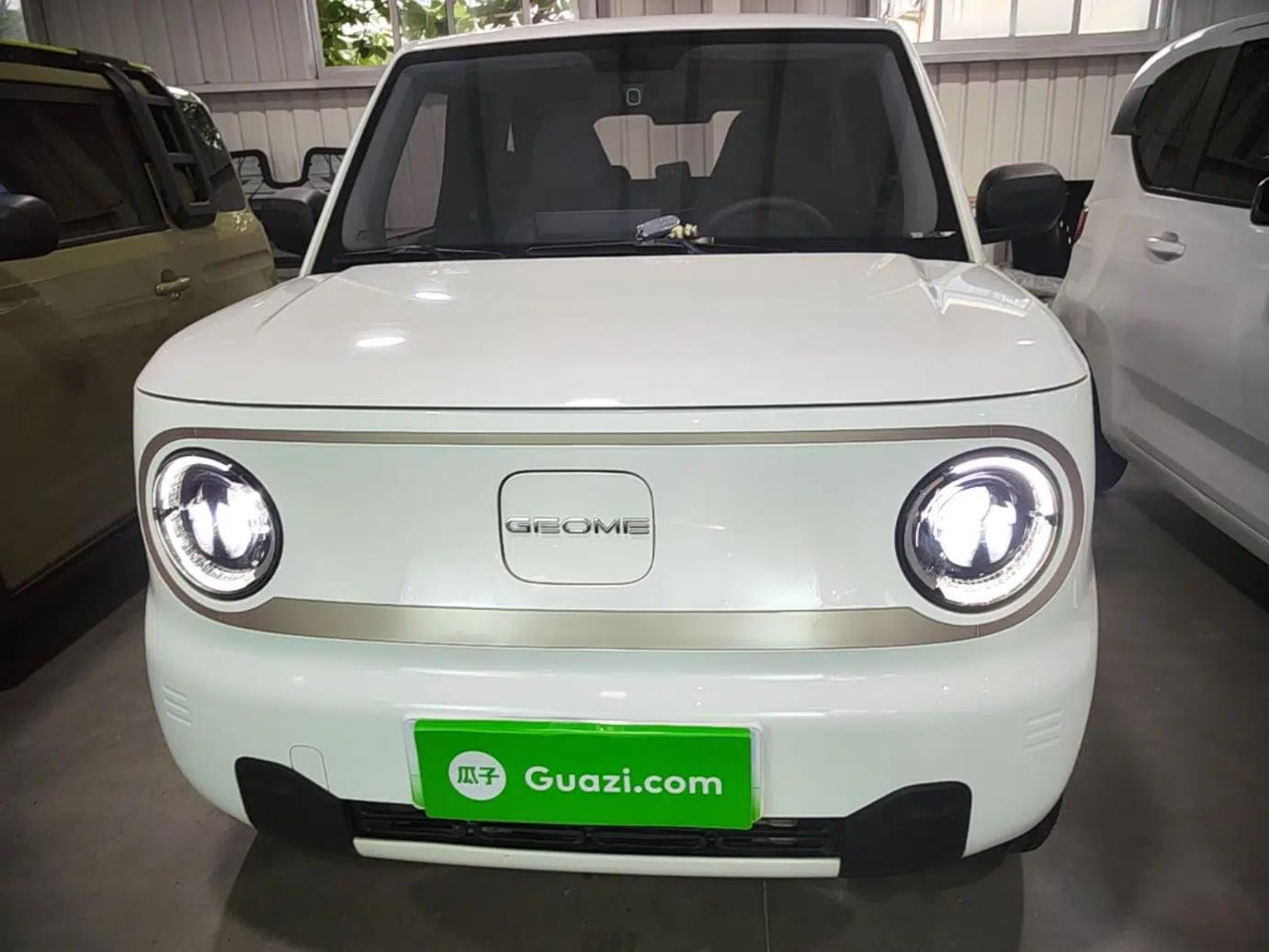 Geely Galaxy Panda 2023 Panda Mini 200km Endurance Bear — миниатюра 2