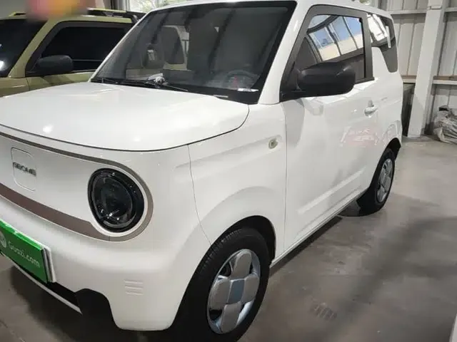 Geely Galaxy Panda 2023 Panda Mini 200km Endurance Bear