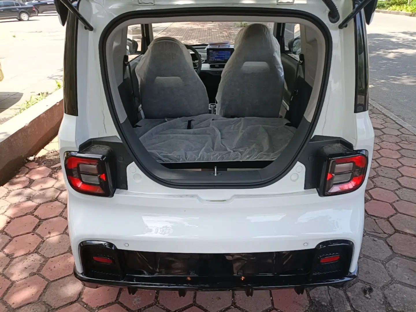 Geely Galaxy Panda 2025 210km Panda Kart — миниатюра 22