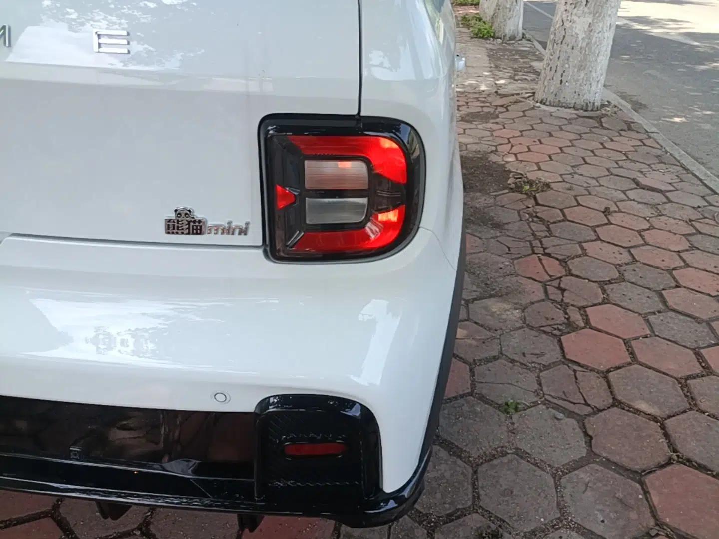 Geely Galaxy Panda 2025 210km Panda Kart — миниатюра 9