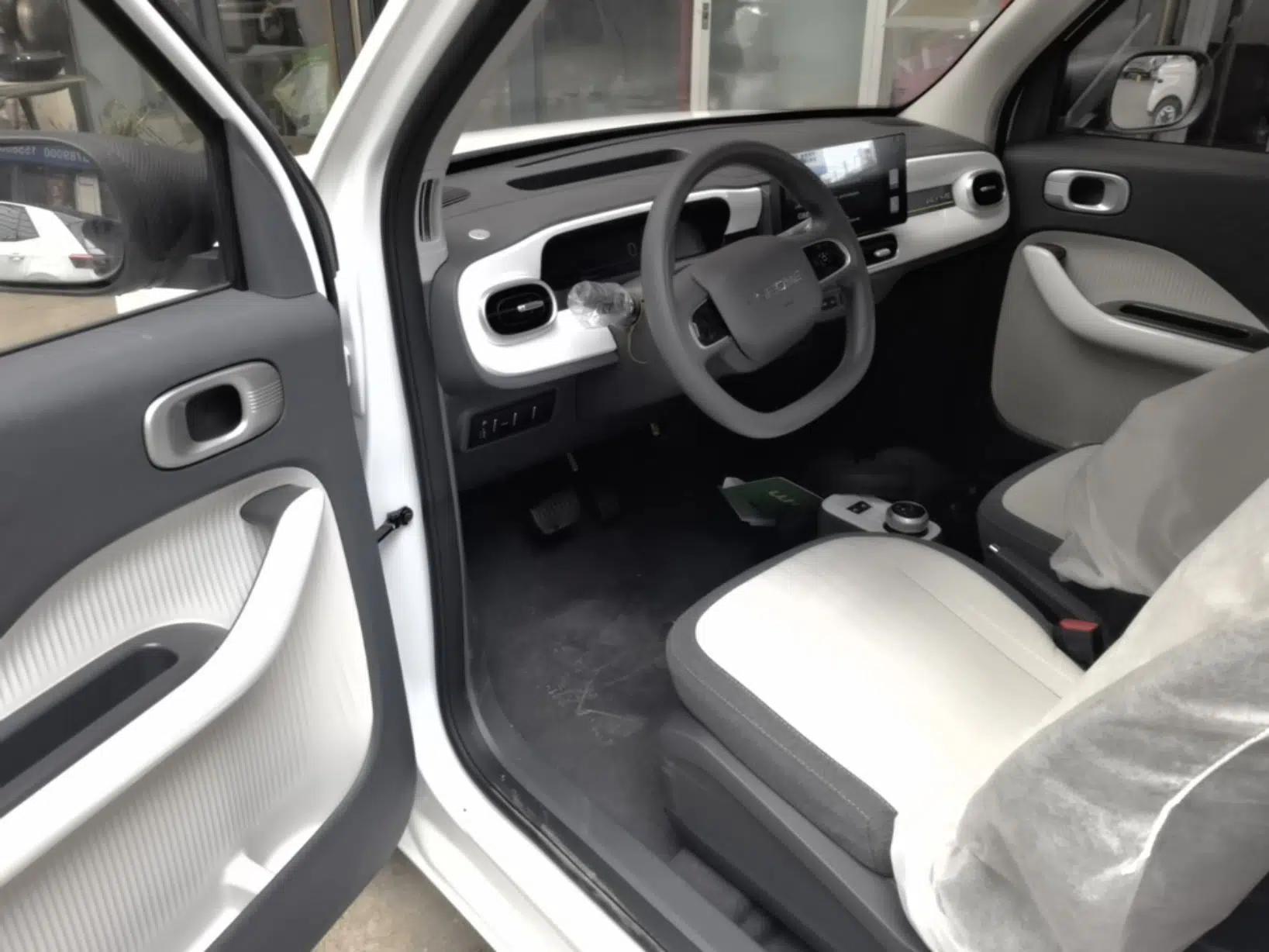 Geely Galaxy Panda 2025 210 km – Yuanqi Bear — миниатюра 18