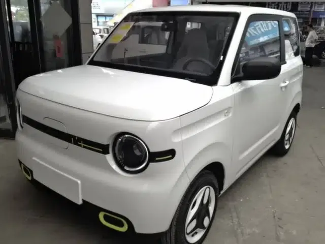 Geely Galaxy Panda 2025 210 km – Yuanqi Bear