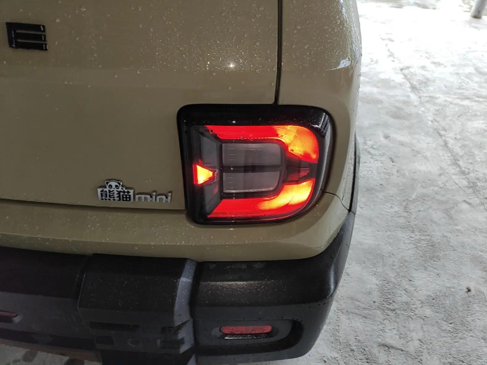 Geely Galaxy Panda 2024 200km Panda Rider — миниатюра 9